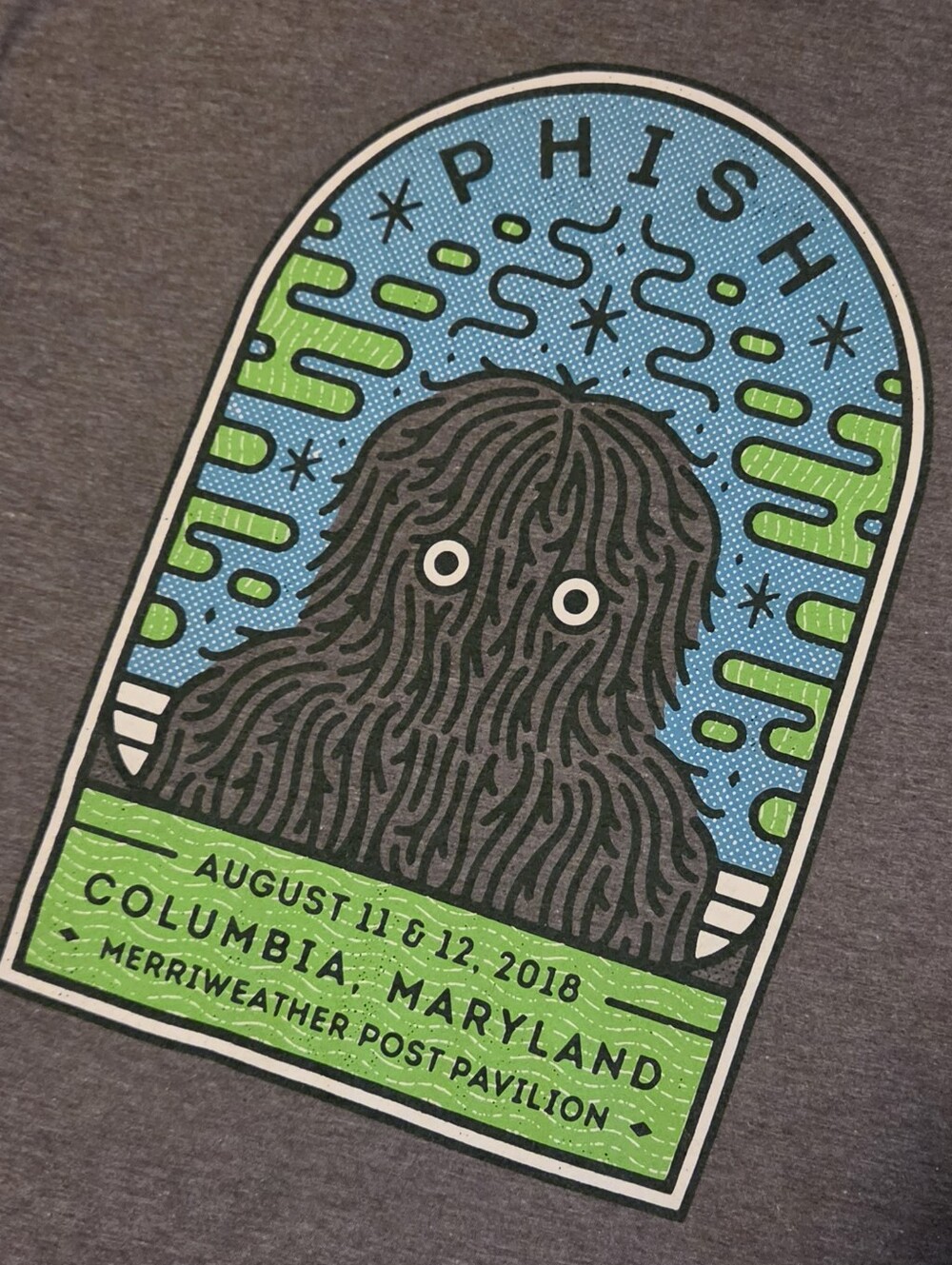2018 Phish Tour Shirt From Columbia, Maryland, Men's Size XL